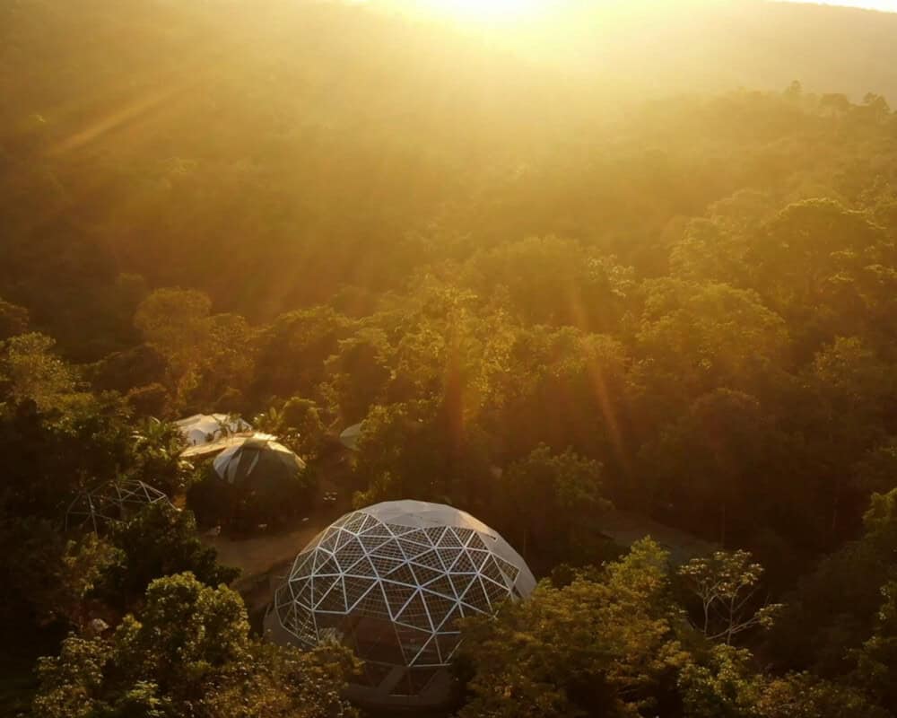 Aerial view of a lush forest at sunset, featuring two geodesic domes nestled among the trees. Sunlight filters through, casting a warm, golden glow over the landscape.